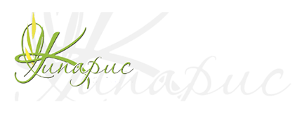 Отель Кипарис